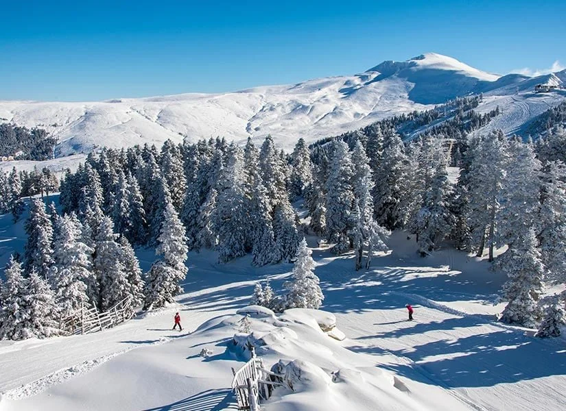 Uludağ Gençlik Festivali | İstanbul , İzmit , Sakarya , İzmir Ve Bursa Hareketli - Görsel 1